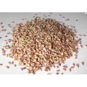  Kavrulmuş Susam 100 gr