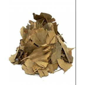 Ginkgo Biloba bitkisi 100 gr