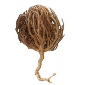 Meryemana Eli 1 adet