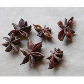 Yıldız Anason 100 gr