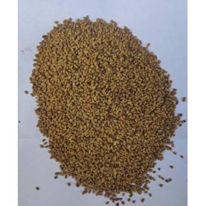 Yonca tohumu 100 gr.