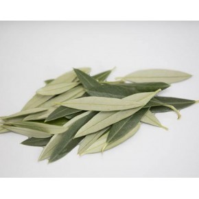 Zeytin Yaprağı 100 gr