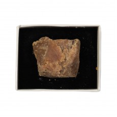 Miski Amber 10 gram